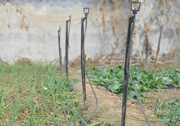 案（àn）例展示