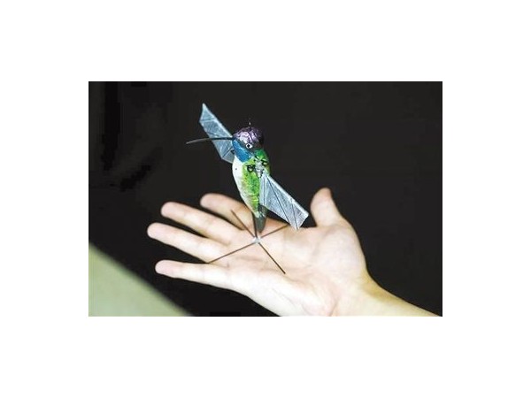 可萌可凶 ▎盤點2019年那些（xiē）有趣的仿生機器人