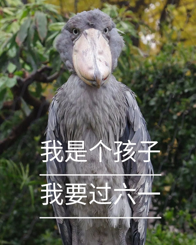 微信圖片_20190531135325 微(wēi)信圖片_20190531135325